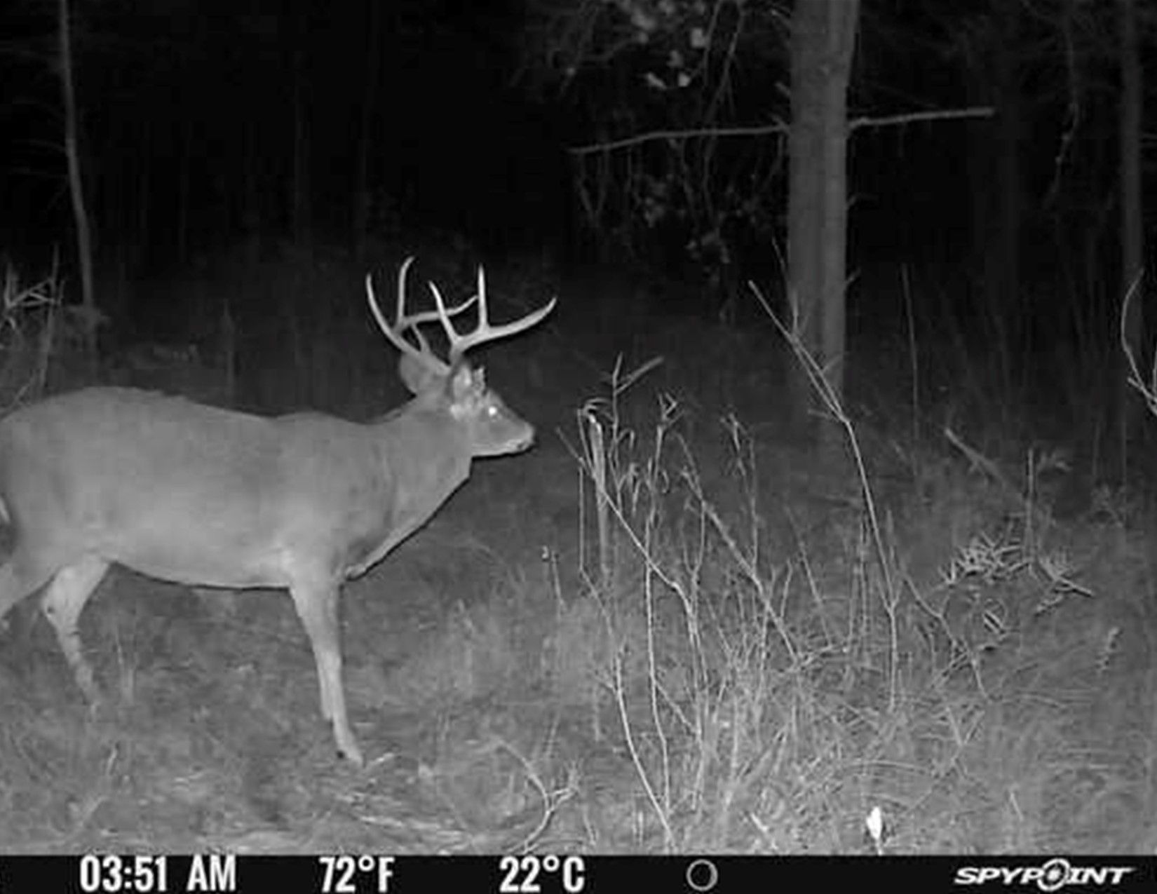 Listing Photo: Trail Camera Photo10